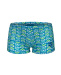  Arena Friends Swim Short Boys Soft Green/Multi